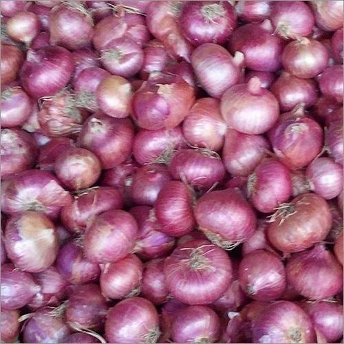 onions