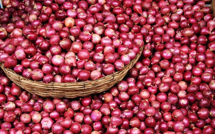 Organic Fresh Small Onion, for Human Consumption, Color : Red
