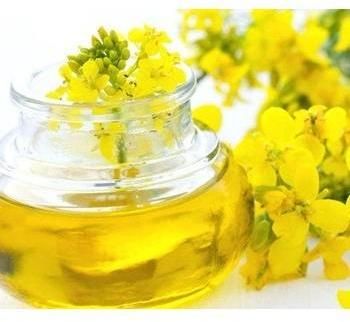rapeseed oil