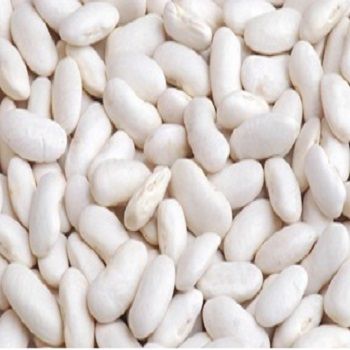 white kidney beans
