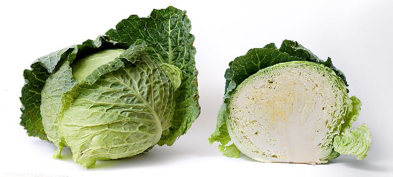 Fresh cabbage, Supply Type : Manufacturer