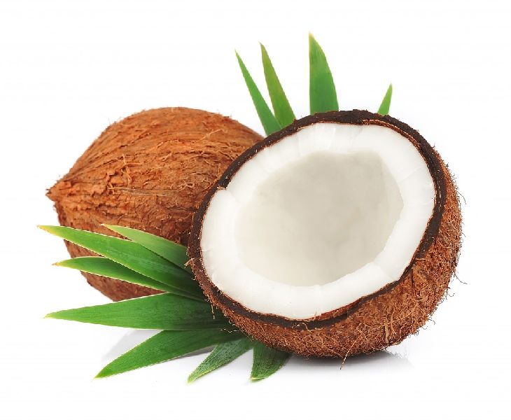 Soft Organic Fresh Coconut, for Medicines, Pooja, Feature : Free From Impurities, Freshness