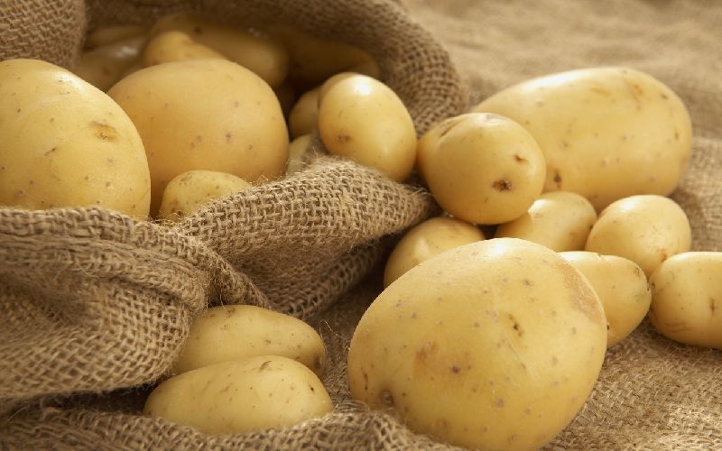 Fresh Natural Potato, For Cooking, Feature : Non Harmul