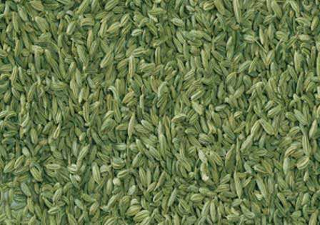 indian fennel seeds