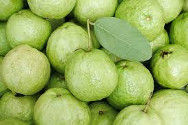 Natural Green Guava