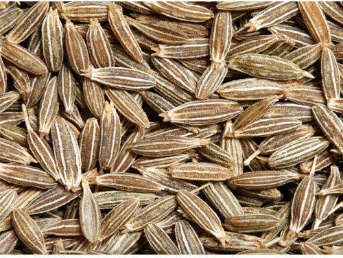 Premium Organic Cumin Seeds, for Cooking, Style : Dried