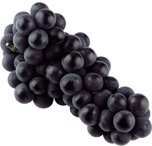 Common Black Grapes