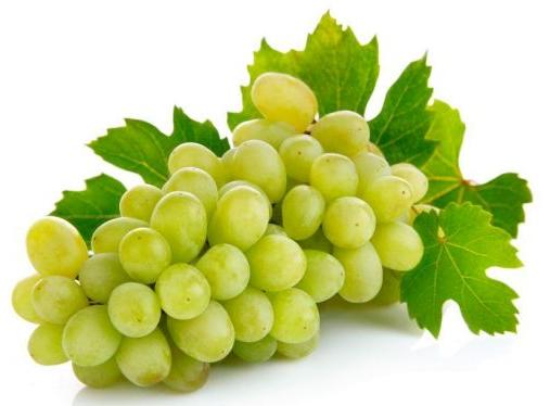 Common Fresh Grapes