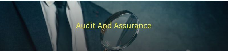 Audit & Assurance Services