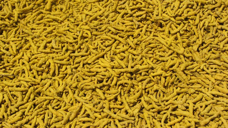 Erode Turmeric Finger