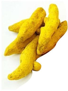 Natural Turmeric Finger