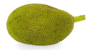 Natural Jack Fruit -Ripen, for consume, Packaging Type : Box