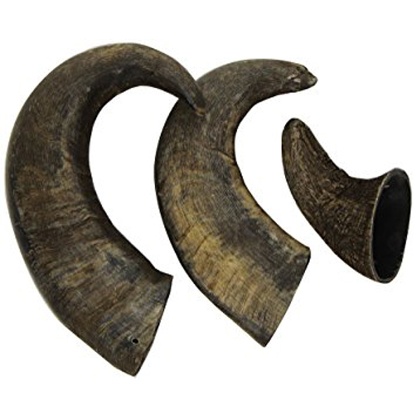 Natural Water Buffalo Bully Horns, for Dogs