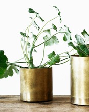 Flower Vase cum Planter