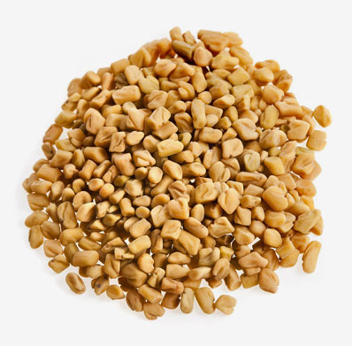 fenugreek