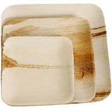 Square natural biodegradable disposable palm leaf plate, Feature : Eco-Friendly, Stocked