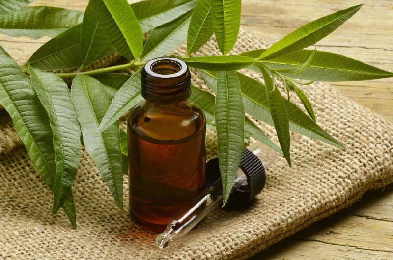 Tea Tree Essential Oil, for Cosmetics, External, Industrial, etc, Packaging Type : Bottle