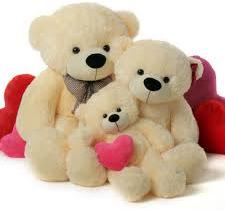 Teddy Bear Toy Set