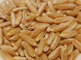 Organic Hybrid Wheat Seeds, Certification : FDA Certified