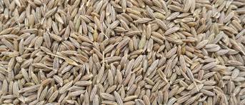 indian cumin seeds