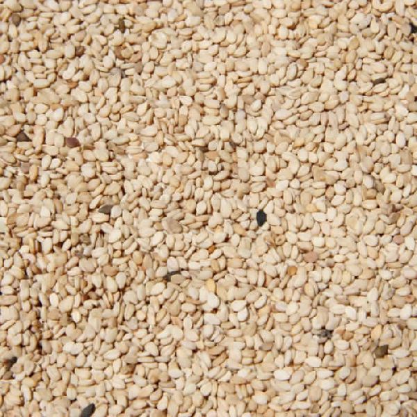 natural white sesame seed