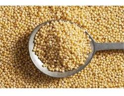 Organic Millets, for High in Protein