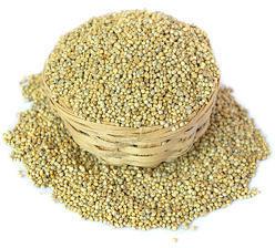 Pearl Millets, for High in Protein