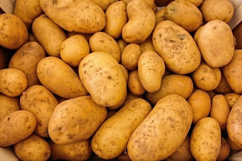 Organic Fresh Brown Potato, Packaging Size : 10-20kg, 20-30kg