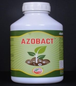 Azobact - Azotobacter