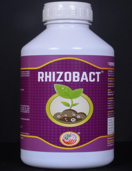 Pale yellow Rhizobact - Rhizobium