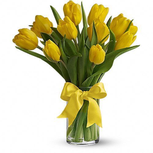 Yellow Tulip Flower, for Decorative, Vase Displays, Occasion : Birthday, Weddings
