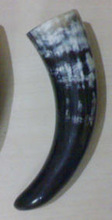 Viking Drinking Horn