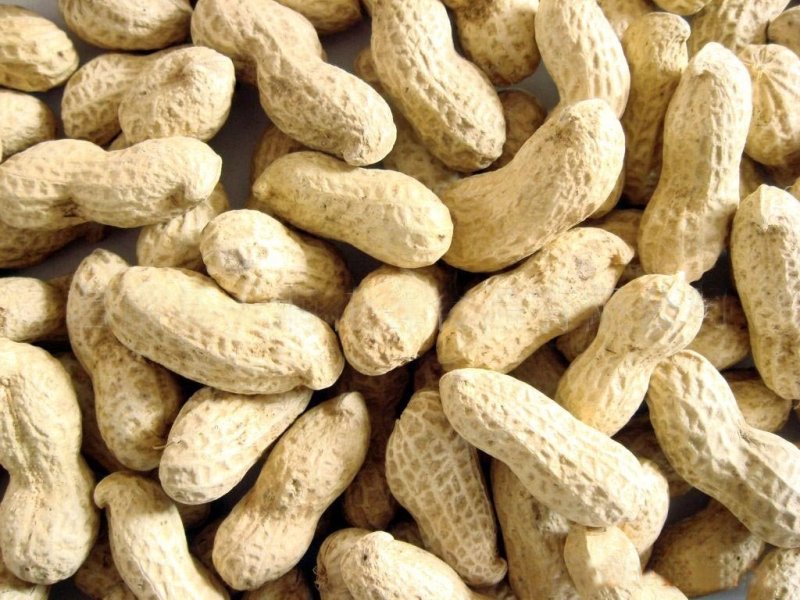 Shelled Groundnut, Feature : Fine Quality, Good For Health