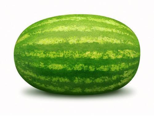 Hybrid Watermelon