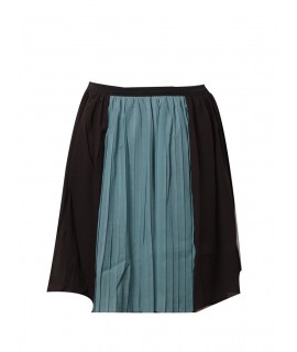 Women short skirt