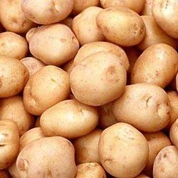 Organic Fresh Indian Potato, for Cooking, Packaging Size : 20Kg, 5Kg