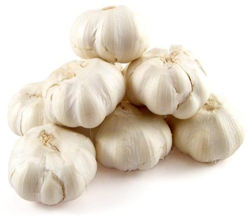 Fresh Organic Garlic