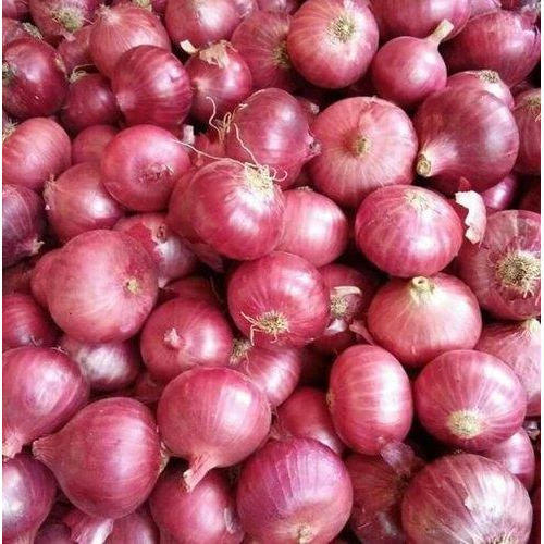 Oval-Round nashik red onion, for Cooking, Human Consumption, Style : Fresh