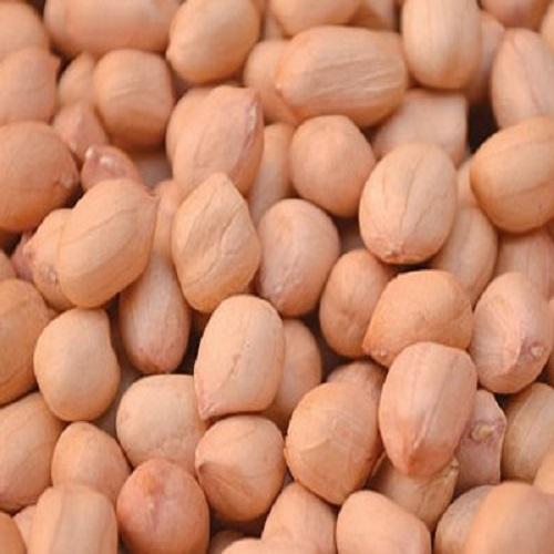 Java Peanuts, for Direct Consumption