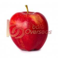 Organic Fresh Royal Apple, Packaging Size : 10kg, 20kg, 25kg, 50kg