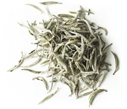 Organic White Tea, for Reduce Health Problems