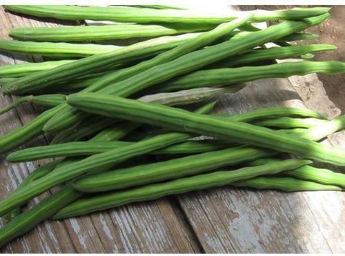 Natural Fresh Long Drumstick, for Cooking, Feature : Non Harmul