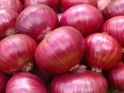 Pink Onion, Shape : Round
