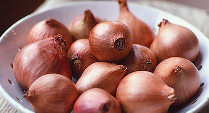 Small Shallot Onion, Feature : Excellent Medicinal Value