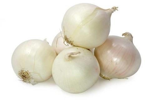 Small White Onion, Feature : Excellent Medicinal Value