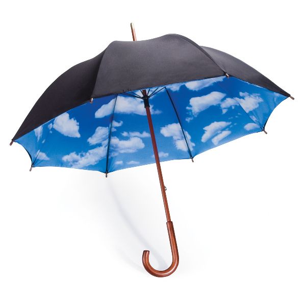 Printed Umbrella, Handle Material : Iron