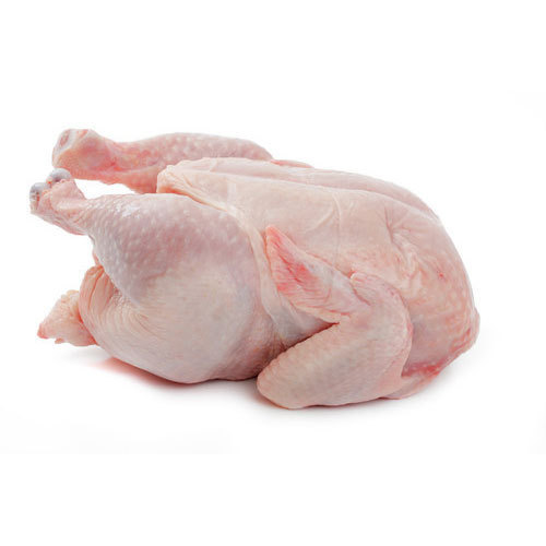 Frozen Chicken Meat, for Cooking, Feature : Delicious Taste