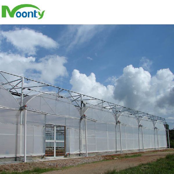 Gothic Arch Greenhouse