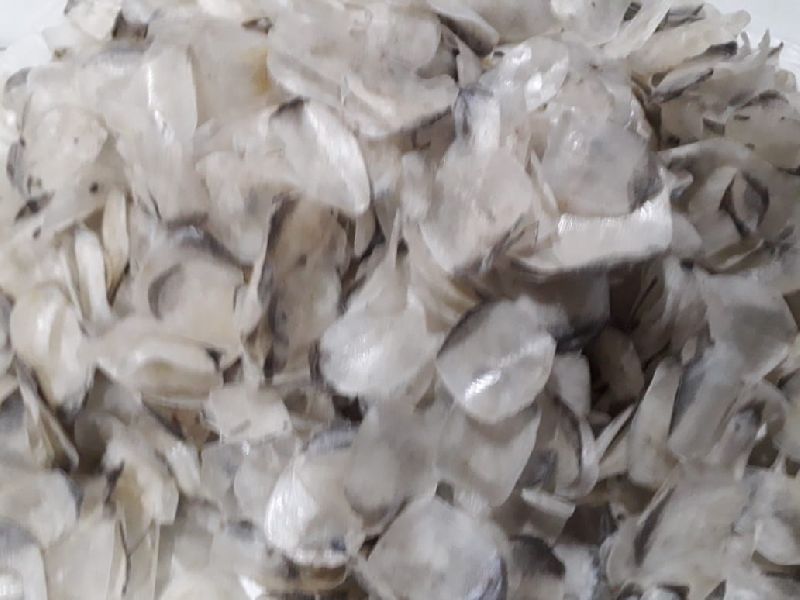 Dried fish scales, for Cooking, Food, Human Consumption, Feature : Eco-Friendly