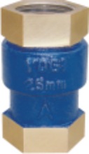 Vertical Check Valve